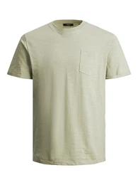 T-Shirt ''''Tropic'''' pastellgrn