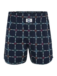 Boxershorts 'Hawaii Board' dunkelblau / mischfarben