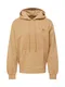 Carhartt WIP Sweatshirt ''''Nelson'''' hellbraun