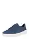 TIMBERLAND Sneaker 'Seneca Bay' enzian / grau