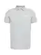HOLLISTER Poloshirt ''''WEBEX'''' grau