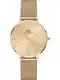 Daniel Wellington Analogni sat 'Petite Unitone G Gold'  zlatna