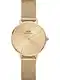 Daniel Wellington Analogové hodinky 'Petite Unitone G Gold'  zlatá