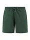 Shiwi Shorts dunkelgrn