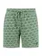 Shiwi Shorts grün / dunkelgrün