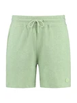Shiwi Shorts Sem mint