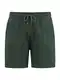 Shiwi Shorts marine / grün
