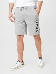 ALPHA INDUSTRIES Shorts grau/schwarz