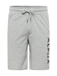 ALPHA INDUSTRIES Shorts grau/schwarz