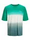 JACK & JONES T-Shirt ''''HEATWAVE'''' grün / smaragd / weiß