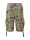 CAMP DAVID Hose khaki / mischfarben