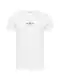 Calvin Klein Jeans T-Shirt grau / silbergrau / schwarz / wei