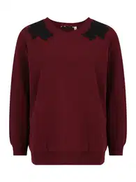 Dorothy Perkins Petite Sweater majica burgund / crna
