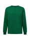 Polo Ralph Lauren Shirt grn / rot