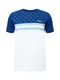 ELLESSE T-Shirt ''''Festo'''' navy / hellblau / wei