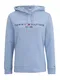TOMMY HILFIGER Mikina  noční modrá / světlemodrá / červená / bílá
