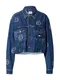 Tommy Jeans Prehodna jakna  mornarska / moder denim / pastelno rumena / rdeča / bela