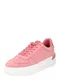 TOMMY HILFIGER Nizke superge  rosé