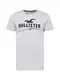 HOLLISTER T-Shirt graumeliert / schwarz