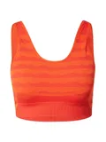 Oranžové Sportovní Podprsenky image