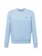 Polo Ralph Lauren Pullover hellblau / dunkelblau