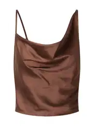 Top smeđa