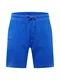 Kronstadt Shorts ''''Knox'''' blau