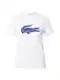 LACOSTE Triko  svtlemodr / tmav modr / ern / bl