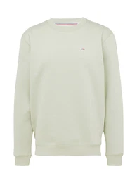 Sweatshirt mint