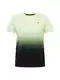 HOLLISTER T-Shirt tanne / hellgrn