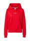 Tommy Jeans Mikina  námořnická modř / červená / bílá