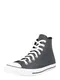 CONVERSE Niske tenisice ''''Chuck Taylor All Star''''  siva