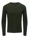Only & Sons Pullover 'Panter' dunkelgrn