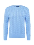 Polo Ralph Lauren Pullover 'Driver' 