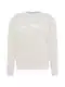 TOM TAILOR DENIM Sweatshirt hellgrau / weiß