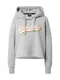 Superdry Mikina  šedý melír / trávově zelená / ohnivá červená / bílá