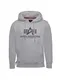 ALPHA INDUSTRIES Sweatshirt grau / anthrazit