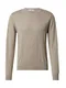 DAN FOX APPAREL Pullover 'Semih' stone