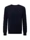 Polo Ralph Lauren Pullover navy / hellblau