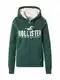 HOLLISTER Gornji dio trenirke  tamno zelena / bijela