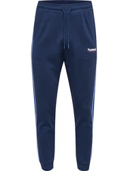 Hummel Hose 'JULIAN' blau/navy/weiß