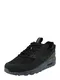 Nike Sportswear Sneaker 'AIR MAX TERRASCAPE 90' schwarz