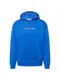 Tommy Jeans Sweatshirt navy / dunkelblau / rot / weiß