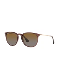 Sonnenbrille 'Erika' dunkelbraun / gold