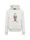 Polo Ralph Lauren Sweatshirt trkis / braun / graumeliert / rot