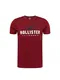 HOLLISTER T-Shirt navy / rot / weiß