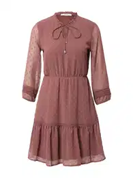 Šaty 'Gotje' růže