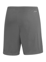 ADIDAS PERFORMANCE Sportshorts Entrada 22 basaltgrau/weiß