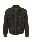 Levi's Herren The Trucker Jacket Jeansjacke black denim