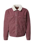 LEVI'S Jacke Type 3 
